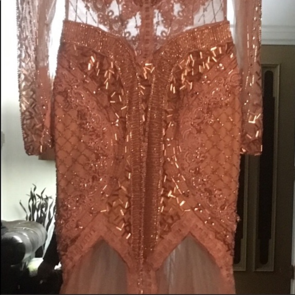 Amazing Terani Couture Gown - Picture 8 of 8